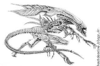 mon dragon